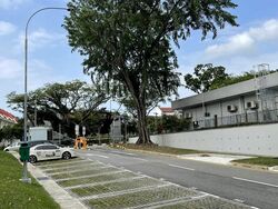 Yio Chu Kang Green (D20), Shop House #520974991